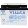 Yuasa NPC24-12 12 V 24 Ah
