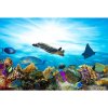 DIMEX fototapeta Morské ryby MS-5-0216 - 375 x 250 cm (150g VLIES - LEPIDLO ZADARMO) DIMEX fototapeta Morské ryby MS-5-0216 - 375 x 250 cm (150g VLIES - LEPIDLO ZADARMO)
