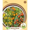 Moravoseed Výsevný disk Balkónové paradajky (kríčkové) Moravoseed Výsevný disk Balkónové paradajky (kríčkové)