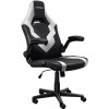 TRUST GXT703W RIYE GAMING CHAIR WHITE 25130 Trust TRUST GXT703W RIYE GAMING CHAIR WHITE 25130 Trust
