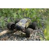 IQ models RC auto XLH X9116 2WD RTR žltá 1:12 IQ models RC auto XLH X9116 2WD RTR žltá 1:12