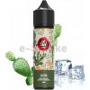 IVG S & V Cactus AISU 10/60 ml IVG S & V Cactus AISU 10/60 ml