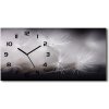 Vodorovné Sklenené hodiny na stenu Semená púpavy 60x30 cm Vodorovné Sklenené hodiny na stenu Semená púpavy 60x30 cm