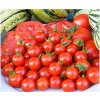 Paradajka Sweet Aperitif - kolíková odroda - Solanum lycopersicum - Semená rajčiaka - 6 ks Paradajka Sweet Aperitif - kolíková odroda - Solanum lycopersicum - Semená rajčiaka - 6 ks