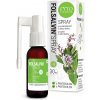 Fyto Folsalvin Spray Aer Ora 30 ml Fyto Folsalvin Spray Aer Ora 30 ml