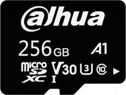 Dahua SDXC Class 10 256 GB TF-L100-256GB