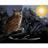Diamondi Diamantové maľovanie - SOVA SEDIACA NA KONÁRI V NOCI (D. RUSTY RUST) Rámovanie: vypnuté plátno na rám, Rozmer: 40x50 cm Diamondi Diamantové maľovanie - SOVA SEDIACA NA KONÁRI V NOCI (D. RUSTY RUST) Rámovanie: vypnuté plátno na rám, Rozmer: 40x50 cm