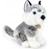 Rappa Plyšový pes husky sediaci 30 cm ECO-FRIENDLY Rappa Plyšový pes husky sediaci 30 cm ECO-FRIENDLY