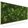 Machový obraz RASTLINY Mesia, 100x50cm, drevený čierny rám Machový obraz RASTLINY Mesia, 100x50cm, drevený čierny rám