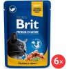 Brit Premium Cat Salmon & Trout 6 x 100 g