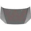Kapota motora VAN WEZEL 8251660