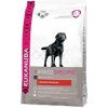Eukanuba Dog Breed N. Labrador Retriever 12kg Eukanuba Dog Breed N. Labrador Retriever 12kg
