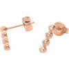Nerezové náušnice 70012.C - ružovo pozlátené - SER.70012.C.23.ZI PrimSteel Nerezové náušnice 70012.C - ružovo pozlátené - SER.70012.C.23.ZI PrimSteel