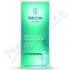 WELEDA Rozmarýnové vlasové tonikum 100ml WELEDA Rozmarýnové vlasové tonikum 100ml