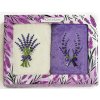 Darčekový set froté uterákov LEVANDUĽA 13, fialovo-biely, 2x 50x100cm Darčekový set froté uterákov LEVANDUĽA 13, fialovo-biely, 2x 50x100cm
