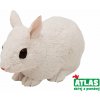Atlas D - Králík bílý 10 cm