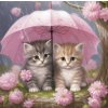 Norimpex diamantové malování Koťátka pod deštníkem 30 x 40cm