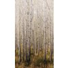 Grandeco A42601 Life Vliesová obrazová tapeta Stromy Les One roll Murals rozmery 159 x 280 cm