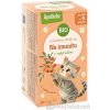 APOTHEKE ROZPRÁVKA Na imunitu s rakytníkom BIO bylinný čaj 20x1,5 g APOTHEKE ROZPRÁVKA Na imunitu s rakytníkom BIO bylinný čaj 20x1,5 g