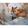 ZUTY Maľovanie podľa čísel - LÍŠKA V SNEHU Rámovanie: vypnuté plátno na rám, Rozmer: 40x50 cm ZUTY Maľovanie podľa čísel - LÍŠKA V SNEHU Rámovanie: vypnuté plátno na rám, Rozmer: 40x50 cm