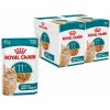 ROYAL CANIN AGEING 11+ Jelly kúsky v želé pre starnúce mačky staršie ako 11 rokov 24 x 85 g ROYAL CANIN AGEING 11+ Jelly kúsky v želé pre starnúce mačky staršie ako 11 rokov 24 x 85 g