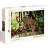 Clementoni Leopard 2000 dielov