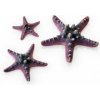 biOrb Umelá dekoracia - Sea Stars Set ružová 10, 8 a 5 cm biOrb Umelá dekoracia - Sea Stars Set ružová 10, 8 a 5 cm