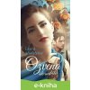 E-kniha Ozvěna skandálu - Laura Madeleine E-kniha Ozvěna skandálu - Laura Madeleine