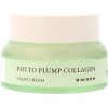 Mizon Phyto Plump Collagen Night Cream 50 ml Mizon Phyto Plump Collagen Night Cream 50 ml