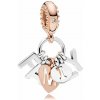 Pandora 787785CZ Pandora 787785CZ