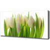 Foto obraz na plátne Tulipány 100x50 cm Foto obraz na plátne Tulipány 100x50 cm