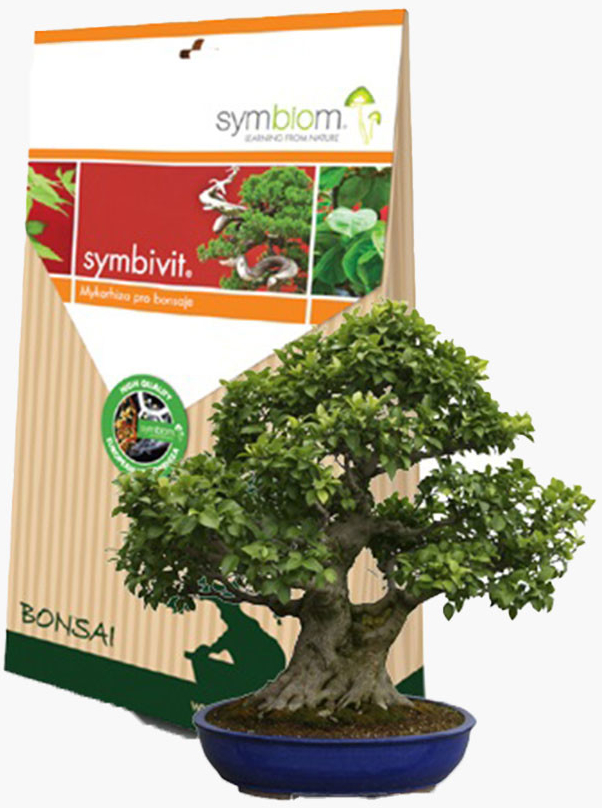 Symbiom SYMBIVIT Mykorhizne huby BONSAI 150 g