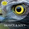 Dravce a sovy Dravce a sovy