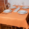 EVENIT Teflónový obrus UNI grepová 3027 oranžová Polyester 120x160 cm EVENIT Teflónový obrus UNI grepová 3027 oranžová Polyester 120x160 cm