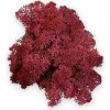 Islandský aranžérsky mach 30g - burgundy Islandský aranžérsky mach 30g - burgundy