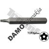 TRIUMF Bit Torx Plus 5-cípy, 10mm, dĺžka 75 mm, vŕtaný IPR15 TRIUMF Bit Torx Plus 5-cípy, 10mm, dĺžka 75 mm, vŕtaný IPR15