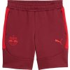 Šortky Puma Red Bull Salzburg Evostripe Short 2025/26 781769-10 Veľkosť S Šortky Puma Red Bull Salzburg Evostripe Short 2025/26 781769-10 Veľkosť S