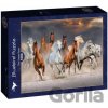BlueBird The Horse Race 1000 dielov BlueBird The Horse Race 1000 dielov