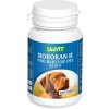 Univit Roboran H Barevné psy 100 tbl
