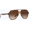 Slnečné okuliare Ray-Ban RB4376 havana/brown gradient Slnečné okuliare Ray-Ban RB4376 havana/brown gradient