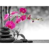 Diamantový obraz Orchidea ružová Diamantový obraz Orchidea ružová