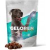 Contipro Geloren Dog kĺbová výživa L-XL 60 ks Contipro Geloren Dog kĺbová výživa L-XL 60 ks