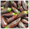 Chilli Jalapeno Brown - Capsicum annuum - semená chilli - 5 ks Chilli Jalapeno Brown - Capsicum annuum - semená chilli - 5 ks