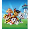 AG Design fototapeta FTDN XL 5151 Paw Patrol 180 x 202 cm (VLIESOVÁ FOTOTAPETA 2-DIELNA) AG Design fototapeta FTDN XL 5151 Paw Patrol 180 x 202 cm (VLIESOVÁ FOTOTAPETA 2-DIELNA)