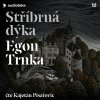 Stříbrná dýka Stříbrná dýka