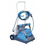 DOLPHIN 2002