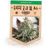 Garden Of Green Seedbank - Critical 2.0 XL Auto 5 ks - Semená neobsahujú THC Garden Of Green Seedbank - Critical 2.0 XL Auto 5 ks - Semená neobsahujú THC