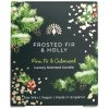 English Soap Vonná sviečka Frosted Fir & Holly 170 g English Soap Vonná sviečka Frosted Fir & Holly 170 g