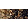 Diversa 3D pozadie Koreň 150 x 60 cm