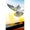 Bird Free gel magnety proti holubom Bird Free gel magnety proti holubom